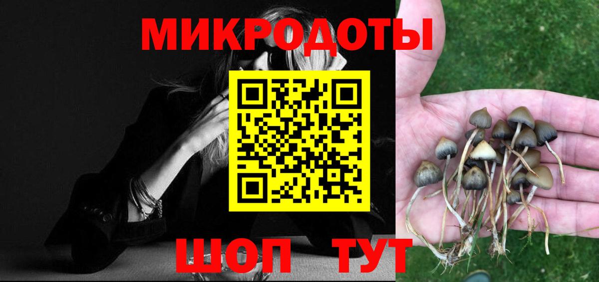 Псилоцибиновые грибы MAGIC MUSHROOMS  Псилоцибиновые грибы Psilocybine cubensis  Вход с VPN  Елизово 